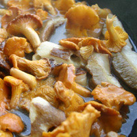Fricassée de champignons